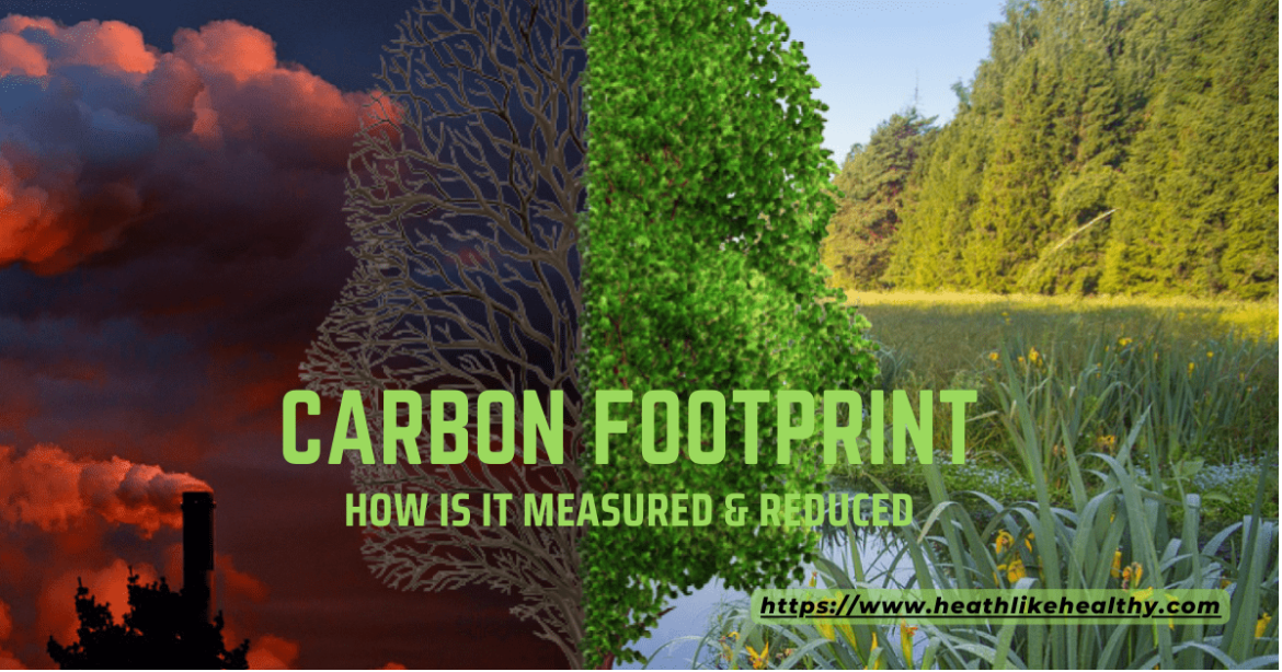 What a Carbon Footprint is