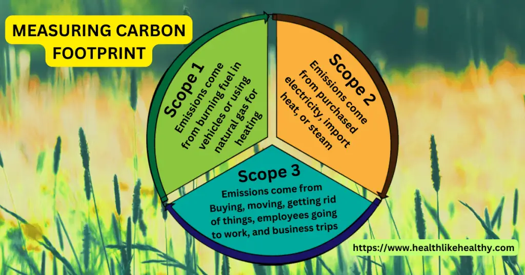 Measuring Carbon Footprint