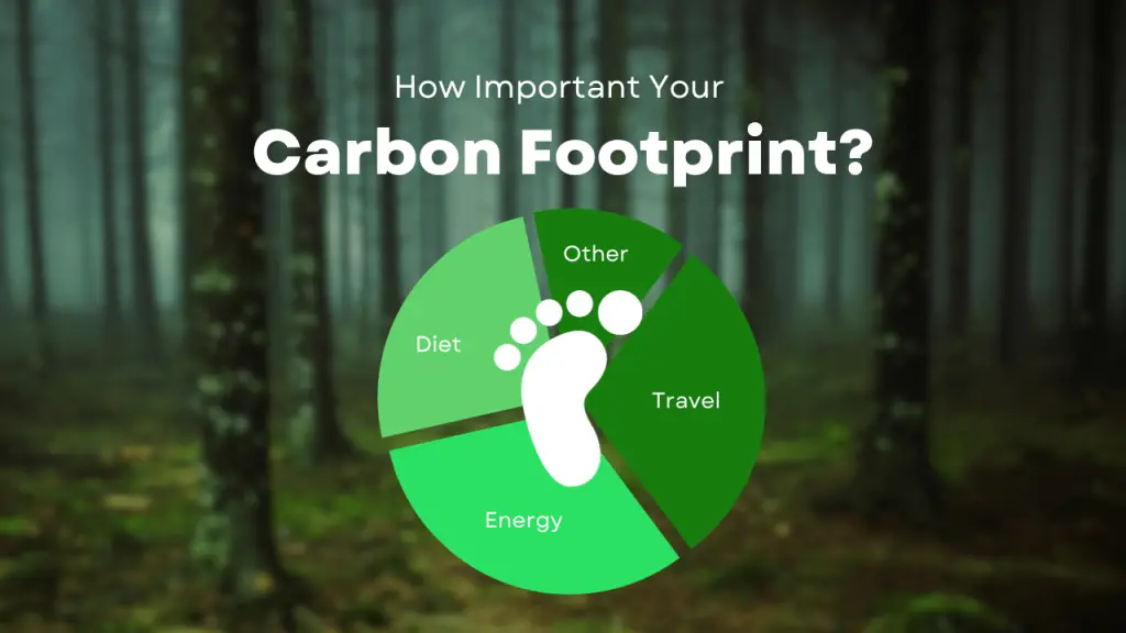 what a carbon footprint is