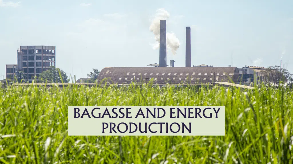 Bagasse and Energy Production