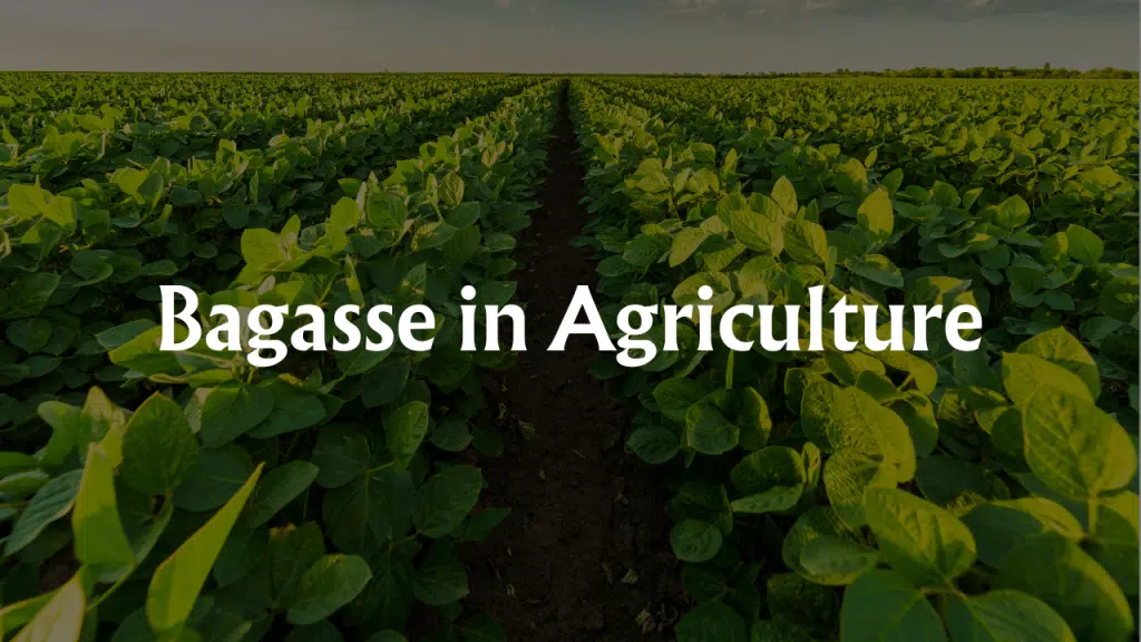 Bagasse in Agriculture