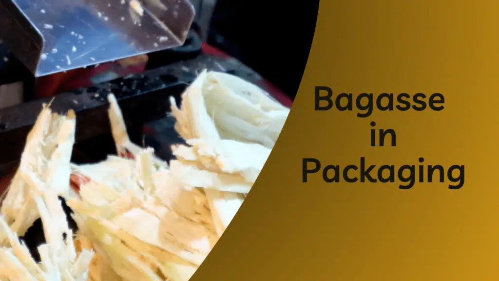 Bagasse in Packaging