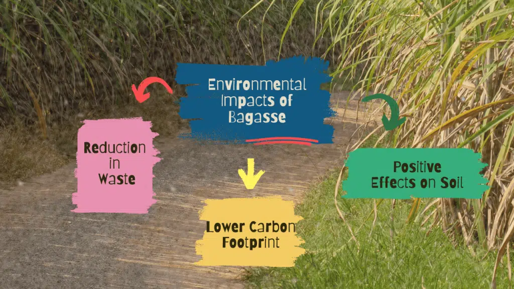 Environmental Impacts of Bagasse