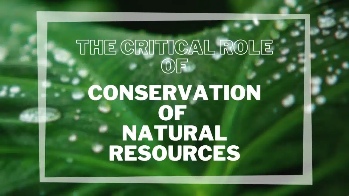Conservation of natural resources