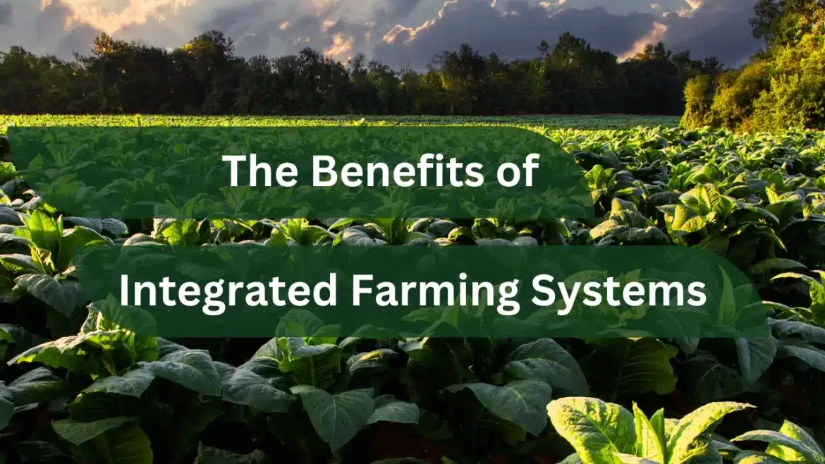 Integrated Farming Systems